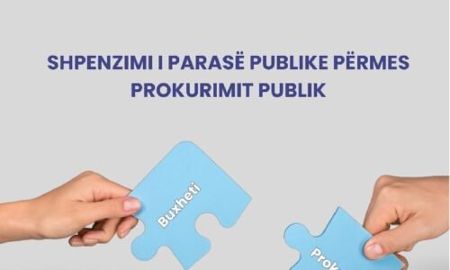 Analiza – Shpenzimi i parasë publike përmes prokurimit public